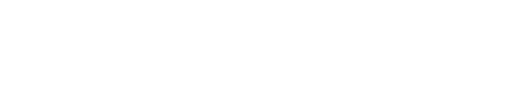 和田玉 - 廣東華友拍賣行有限公司